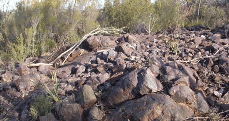 Koch Metals BPC Times image-1