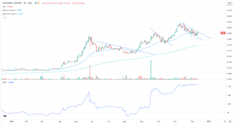 Screen Shot 2021-12-15 at 12.16.04 pm