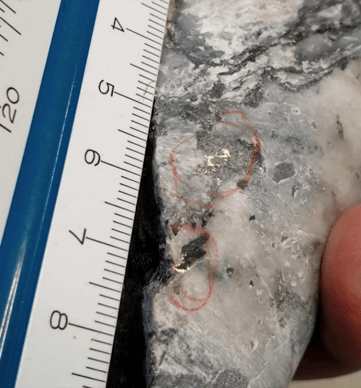 Screen Shot 2022-07-27 at 10.20.58 am