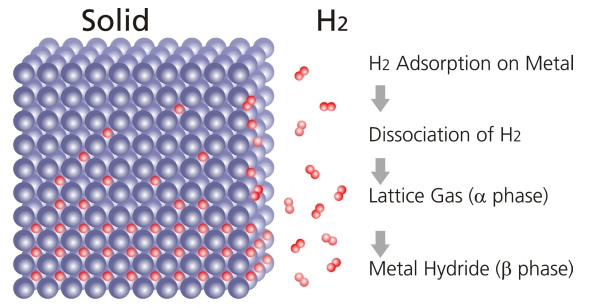 Screen Shot 2022-12-13 at 11.46.32 am