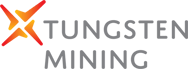 tingsten mining logo